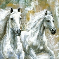 Диви коне живопис печат върху увито платно